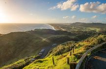 Haka to Waves PRIVATE Auckland West Coast Journey