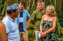 Ubud: Monkey Forest, Waterfall and Nature Exploration Tour