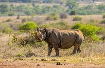 3-Day Masai Mara Wildebeest Migration 2025