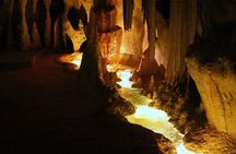 Hop on Hop off - Tamborine Rainforest Skywalk + Glow Worm Caves