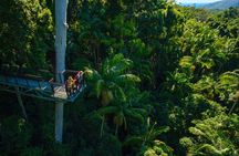 Hop on Hop off - Tamborine Rainforest Skywalk + Glow Worm Caves