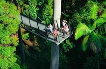Hop on Hop off - Tamborine Rainforest Skywalk + Glow Worm Caves