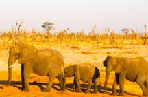 5 Day Exploration at Hwange NP, Chobe NP and Victoria Falls