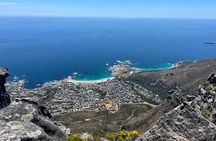 Kirstenbosch Botanical Garden and Table Mountain with Wine Tour