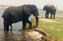 8-Day Victoria Falls, Chobe National Park and Okavango Delta Tour