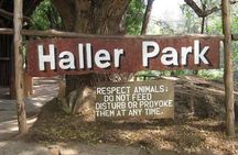 Full Day Mombasa City Tour with Haller Park