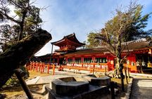 Nara Todaiji Kasuga Taisha Private Full Day Tour From Kyoto