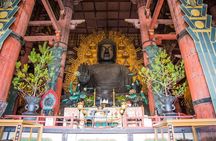 Nara Todaiji Kasuga Taisha Private Full Day Tour From Kyoto