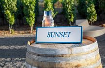 Experience TOAST TO THE SUN
