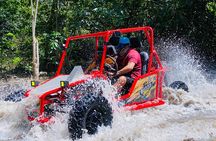 Fun Buggys Tour from Amber Cove or Taino Bay