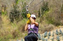 Ziplines and mezcal tasting 