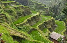 Ubud Fullday Tours - Private All Inclusive