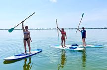 Gulf Shores stand up paddle boarding lesson and tour