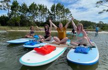 Gulf Shores stand up paddle boarding lesson and tour