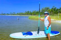 Gulf Shores stand up paddle boarding lesson and tour