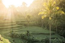  Bali: Lempuyang Temple, Waterfall & Rice Terrace Private Tour