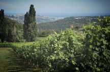 Local Wine Tasting , Grasse perfumerie , and Provençal villages