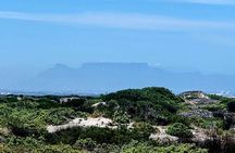 Birds Lovers At West Coast Western Cape 