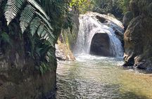 Full Day Mindo - Cloud Forest from Quito