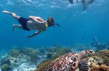 Private Snorkel Tour with Captain and Guide Bonaire Marine Park