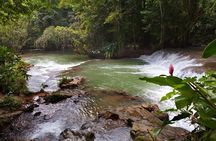 Dunn’s River Falls and Zipline with Roundtrip Transfers