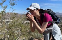 Papago Park Nature Walk with Yoga and Mountain Views
