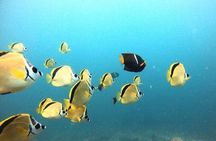 Tamarindo private snorkeling boat tour