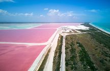 Full Day Guided Tour in Coloradas and Rio Lagartos 