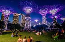 Private :Magical Nights in River Cruises and Stunning Light Shows