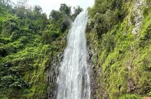 Materuni waterfall , coffee tour and hotsprings (chemka )