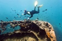 Coron Reefs and Wrecks Tour
