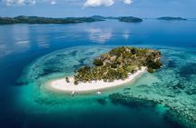 Coron Reefs and Wrecks Tour