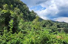 3 Day Chimpanzee Trek in Nyungwe Forest and Lake Kivu Holiday