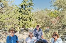 Bodrum St.Peter's castle & Underwater Archeology museum tour