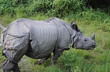 Travel to Nepal 10 days to explore the Culture and Best Views