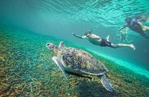 Koh Tao: Hidden Bays Small-Group Snorkeling Tour with Lunch