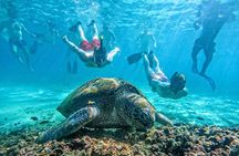 Koh Tao: Hidden Bays Small-Group Snorkeling Tour with Lunch