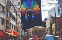 Sao Paulo Downtown Private Walking Tour with Optional Car Pickup