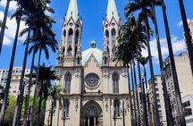 Sao Paulo Downtown Private Walking Tour with Optional Car Pickup