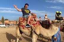 Agadir Cooking class (tajin+msemen+thé)with 1h camel ride 