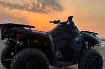 Doha Qatar ATV Quad Bike Buggy Desert Adventure and Camel Ride