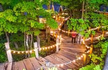 Hokkaido Asahiyama Zoo, Biei & Ningle Terrace Day Tour | Hokkaido