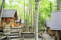 Hokkaido Asahiyama Zoo, Biei & Ningle Terrace Day Tour | Hokkaido