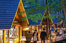 Hokkaido Asahiyama Zoo, Biei & Ningle Terrace Day Tour | Hokkaido