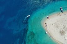 Small Group Turtle Tour Zakynthos