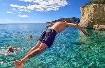 Small Group Turtle Tour Zakynthos