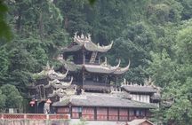 Dujiangyan Irrigation and Mt.Qingcheng 1 day private tour 