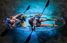 Clear Kayaks Bioluminescent Bay Tours in Vieques PR