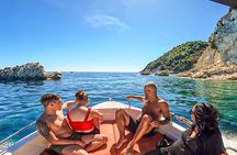 Zakynthos Turtle Tour Small Group Turtle Spotting & Turtle Island