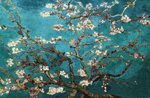 Private Family Tour at Van Gogh Museum for Kids and Teens